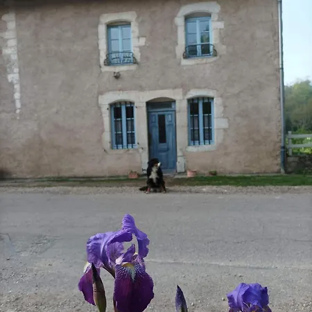 La Maison Du Meunier Avec Terrain